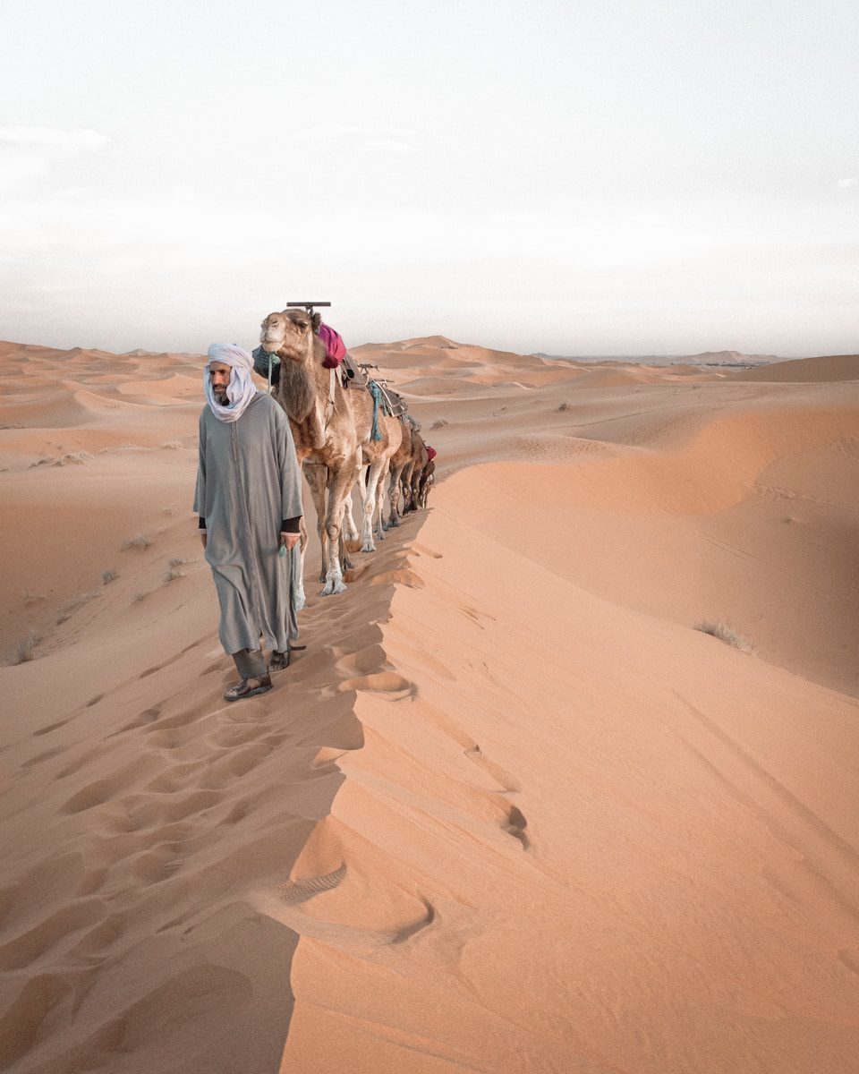 2 men walking on desert during daytime