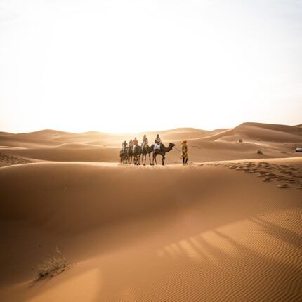 6 days tour from Casablanca to desert