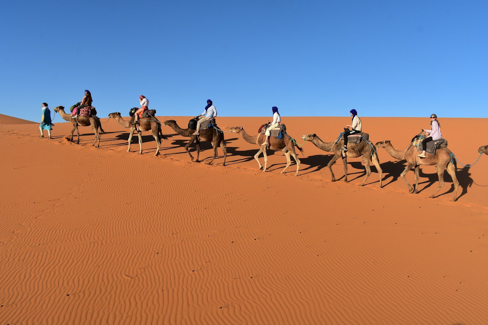 7-Day Morocco Tour: Marrakech to Chagaga Desert Adventure