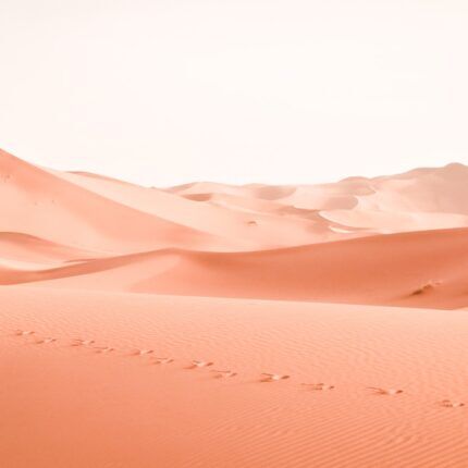 9-Day Tour from Casablanca: Imperial Cities & Desert Adventure